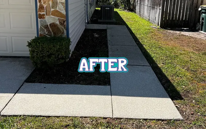 Side walkway after cleaning