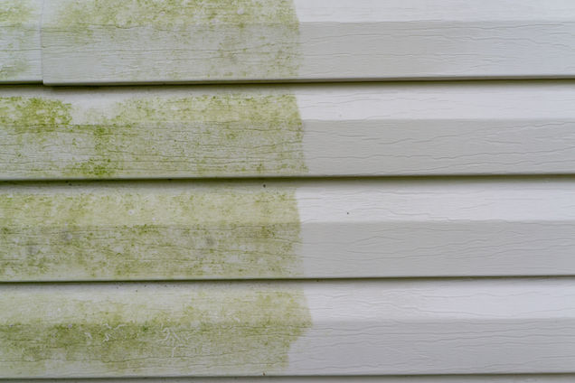 Gentle soft wash, safe for siding and roofs.